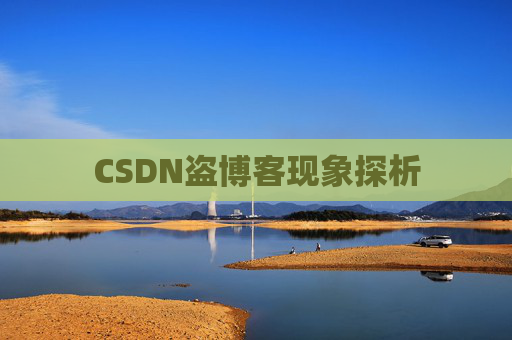 CSDN盗博客现象探析